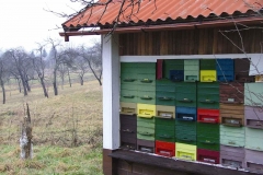 cebelnjak-Batista-Igor