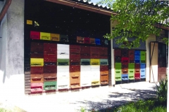 cebelnjak-Jagodnik-Podgrad