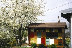 cebelnjak-Primc-Ernest