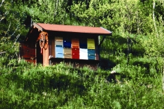 cebelnjak-Vinko-Prosen-Trpcane