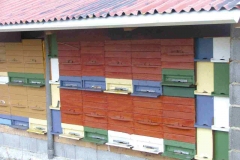 cebelnjake